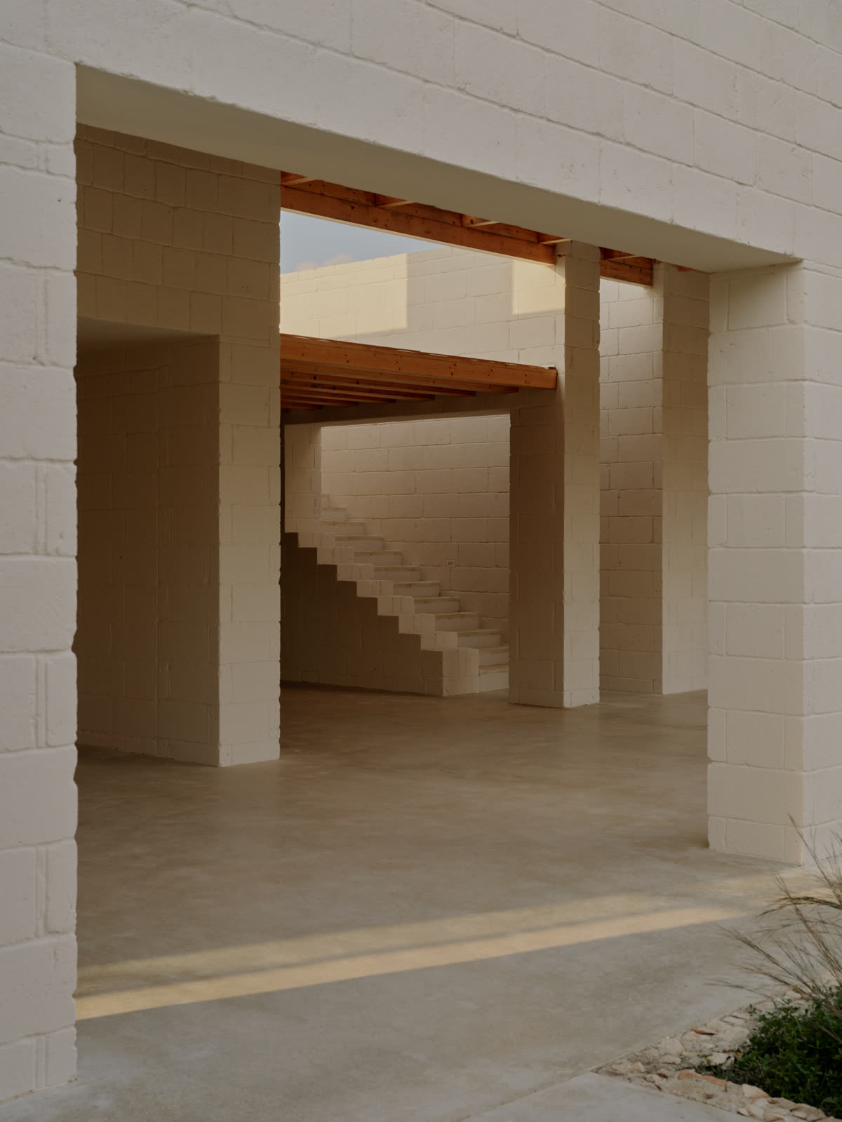 Shared living space